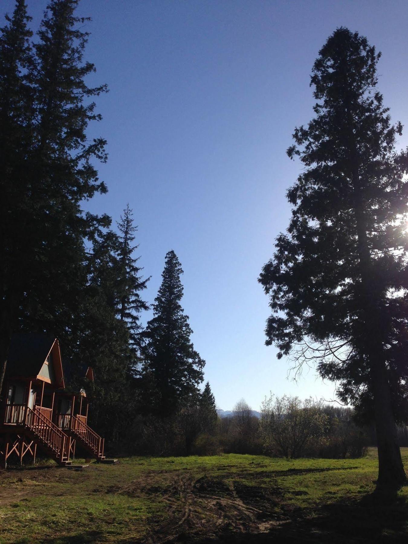 Hidden Acres Farm And Treehouse Resort Terrace Exterior foto